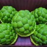 《蓮霧王》台東之美~大目釋迦 產地直銷 肉Q味美汁甜 每單顆1斤重以上 5粒裝 大約5斤重 買到賺到