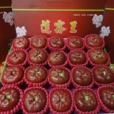 《蓮霧王》精品鹹水黑珍珠 精品特A(大顆) 20粒精美包裝 當天現採 嘗鮮價