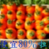 限量特價優惠，僅開60箱5斤裝 限量/限時 六箱即免運費！ 特價：$350