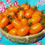 大特價～預定優惠開跑囉!(2013元月出貨) 特價：$350