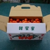 【5斤裝】慧耕田 甜蜜蜜小蕃茄