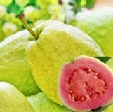 夏日抗漲!燕巢紅心芭樂每斤$39元!!滿60斤免運唷!未滿60斤請自行加上110運費唷!