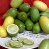 香水檸檬~有機栽種有吉園圃認證!連皮都可以吃唷!49元一份5斤滿20金免運唷~未滿請加110運費唷! 特價：$49