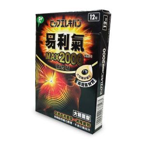 【易利氣】磁力貼大範圍型(高斯2000)