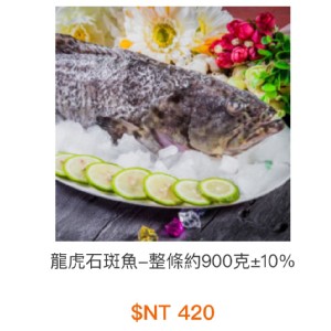 龍虎石斑魚-整條