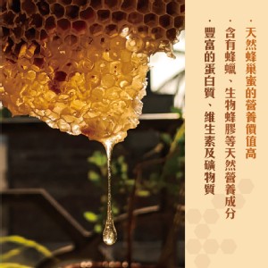 【億昌養蜂場】100%天然台灣蜂巢蜜460g