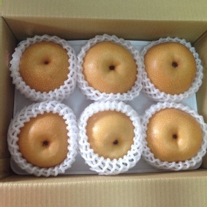 三灣霖園汁多甜美三灣高接梨- 五斤裝 特價：$350