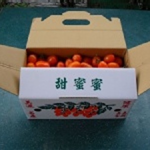 【5斤裝】甜蜜蜜小蕃茄 品種：橙蜜香
