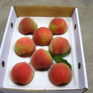 8顆裝甜蜜桃 重量:3.6兩以上 特價：$300