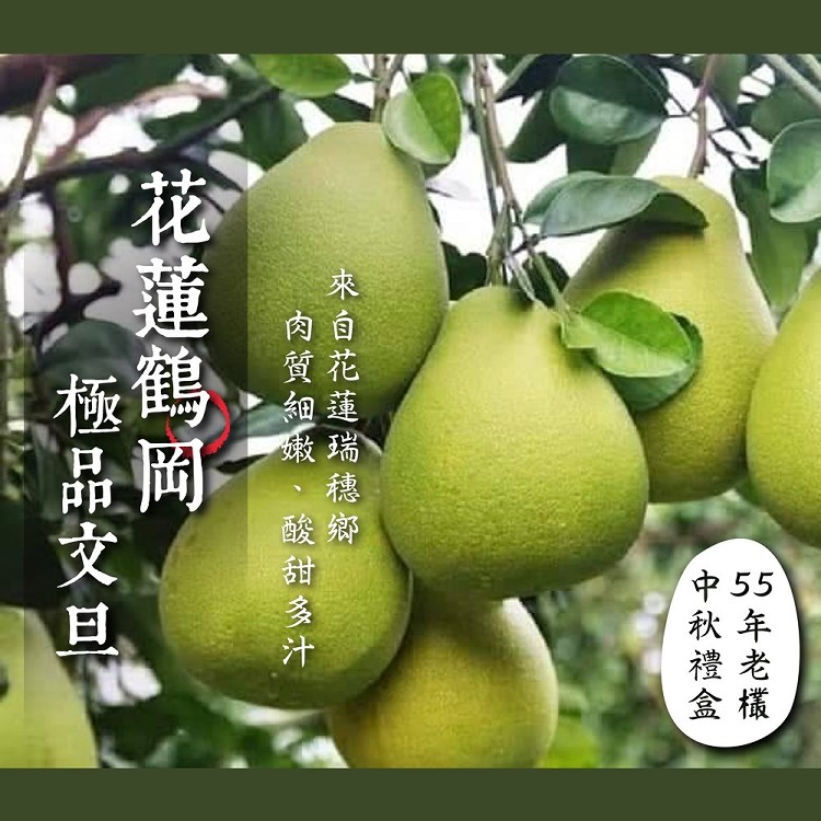 【花蓮鶴岡】55年老欉極品文旦柚子禮盒-5斤
