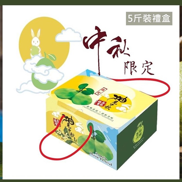 【花蓮鶴岡】55年老欉極品文旦柚子禮盒-5斤