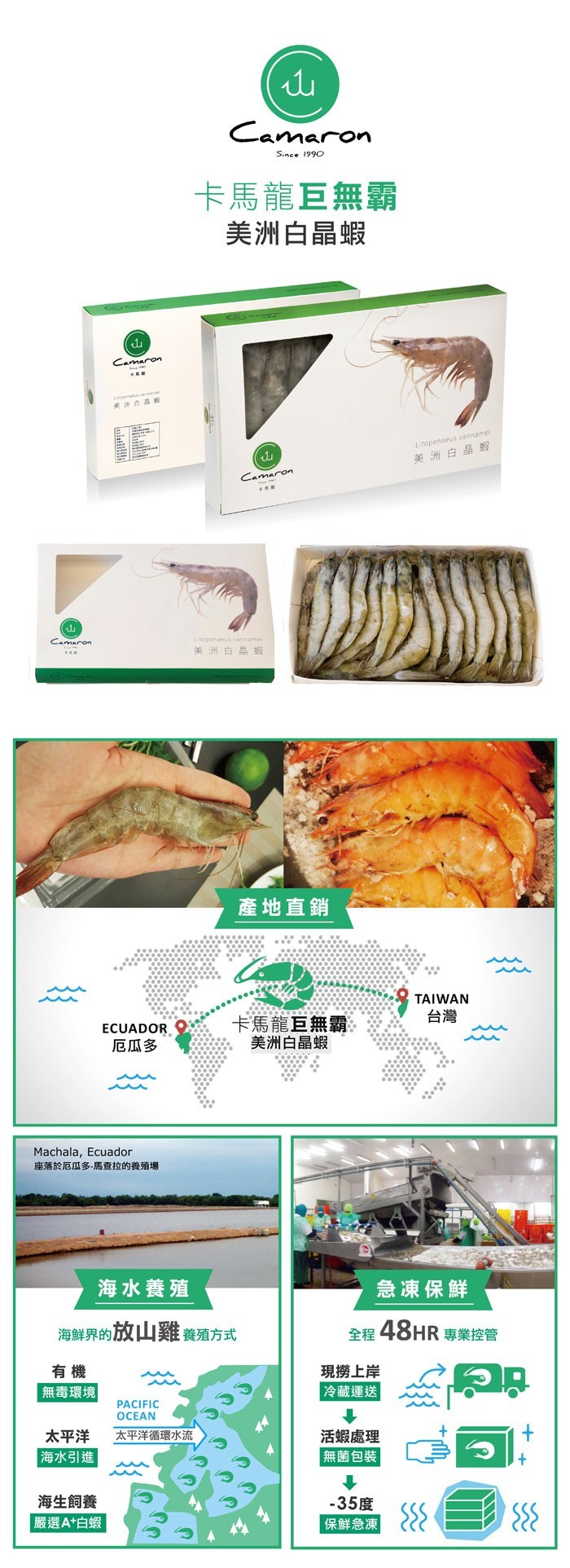 卡馬龍巨無霸,美洲白晶蝦,关港白品,美洲白晶蝦,美洲白品蝦,產地直銷,卡馬龍巨無霸。美洲白晶蝦,厄瓜多,座落於厄瓜多-馬查拉的養殖場,海水養殖,急凍保鮮,海鮮界的放山難 養殖方式,全程48HR 專業控管,現撈上岸,無毒環境,冷藏運送,太平洋,太平洋循