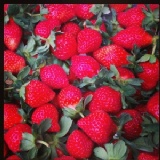 產地直送特級大湖草莓2.5台斤 特價：$500