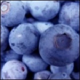 智利藍莓 空運 125g/盒