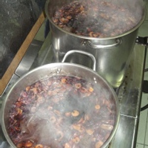 洛神仙楂烏梅汁