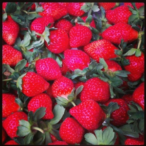 產地直送特級大湖草莓2.5台斤