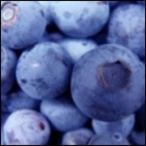 智利藍莓