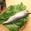 【海揚鮮物】北大西洋頂級鯖魚片