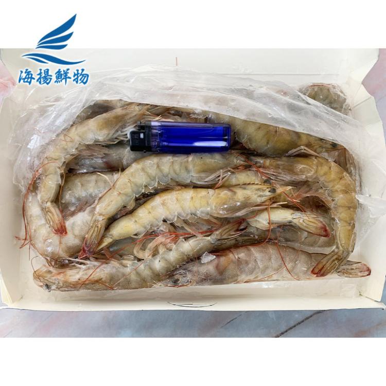 【海揚鮮物】冷凍生白蝦1號(20/30)(650g/盒)