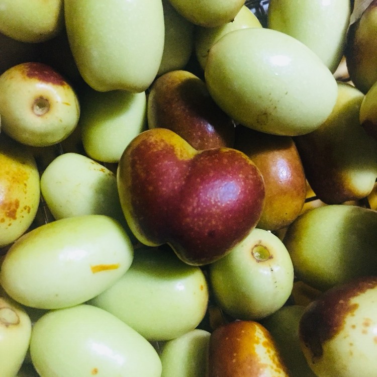 藏山椿工坊-棗果子紅棗乾