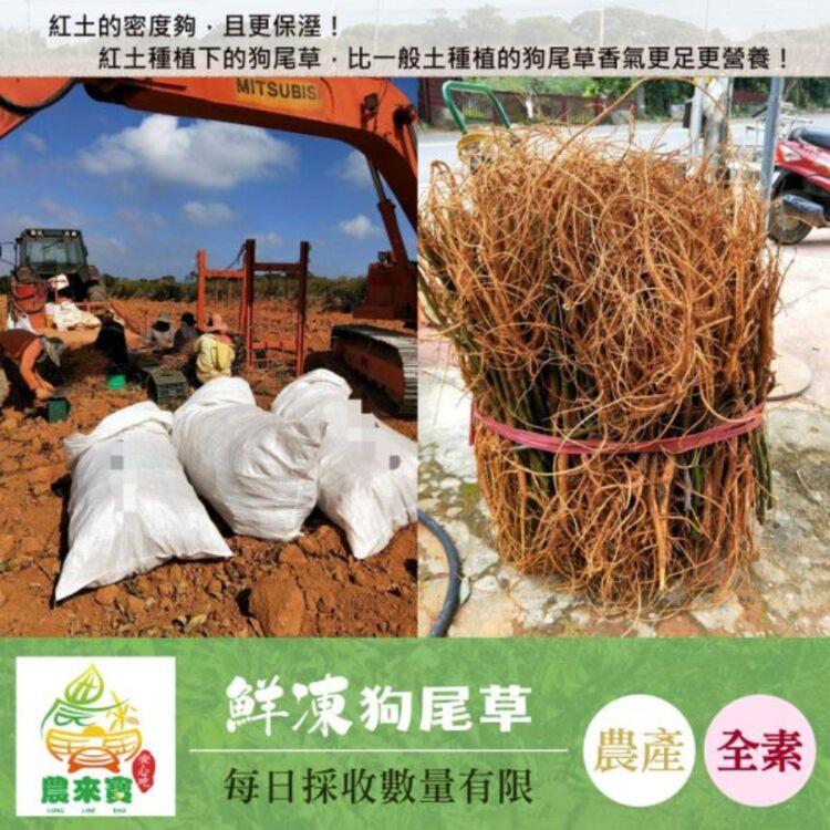 【農來寶】鮮凍狗尾草
