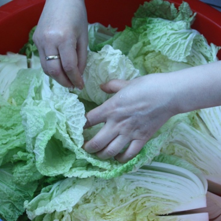韓式泡菜 （900g裝 )