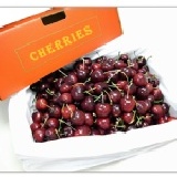 美國西北櫻桃5台斤10ROW 含運