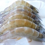 88號安心蝦(大) 特價：$100