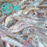 88號安心蝦仁 未發泡的無毒蝦仁 特價：$130