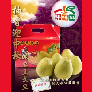 【果味仙】麻豆文旦 40年老欉品牌履歷 5斤(4~5粒)禮盒(預購)