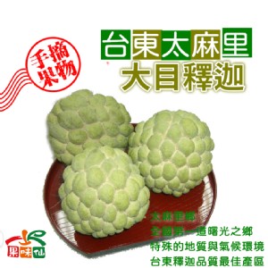 台東大目釋迦嚴選外銷等級