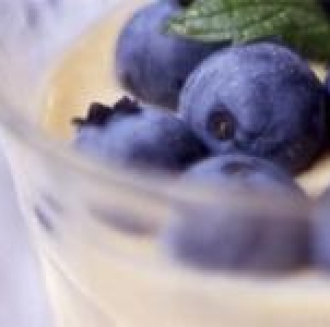 水果類-歐洲藍莓