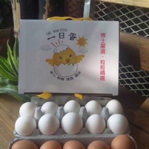 👍七號牧場：一日蛋