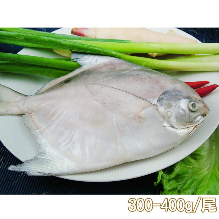 免運!【新鮮市集】鮮嫩富貴白鯧魚(300-400g/尾) 300-400g/尾 (12尾,每尾501.5元)