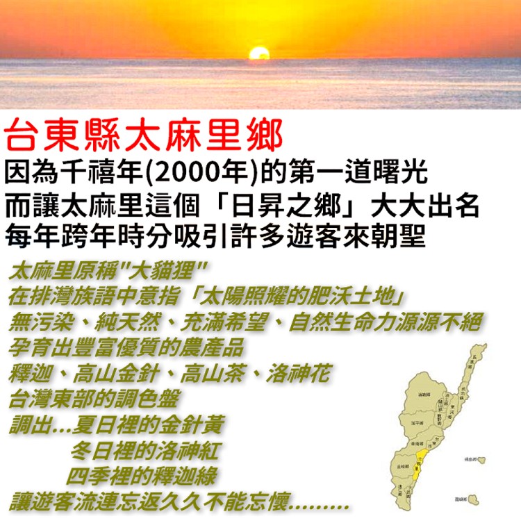 台東大目釋迦嚴選外銷等級