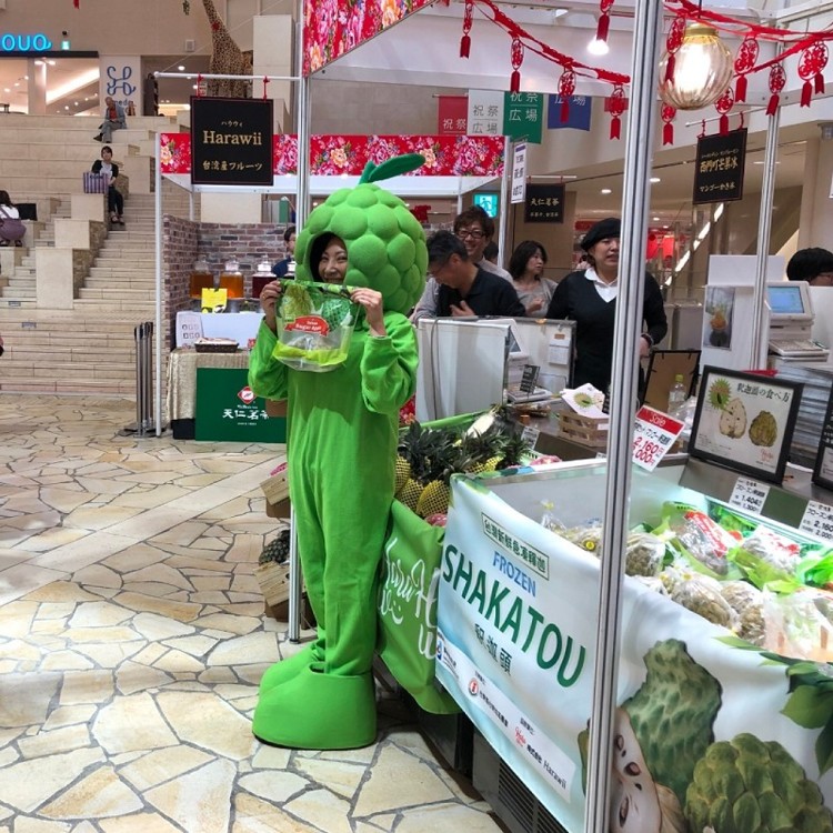 台東大目釋迦嚴選外銷等級