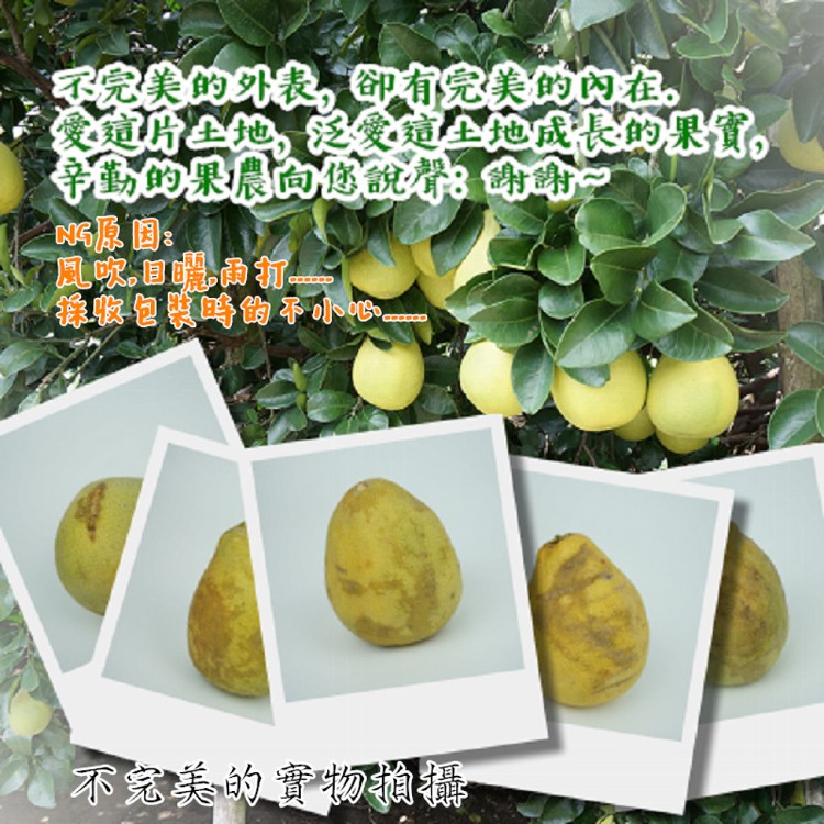 【果味仙】麻豆文旦10斤不完美外表惜食良品超值大省 (預購)