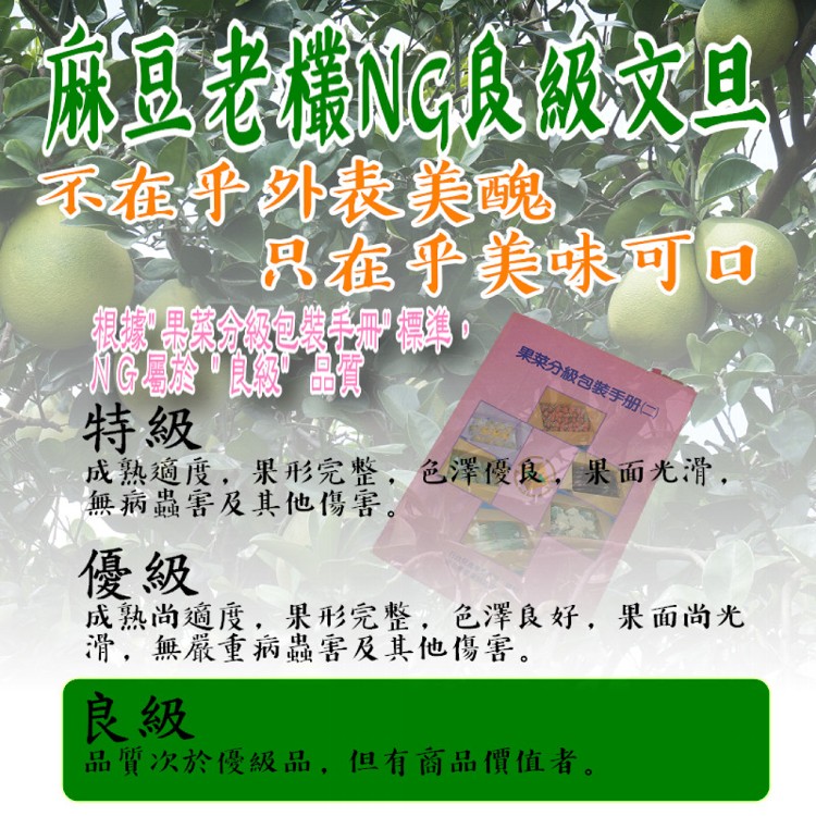 【果味仙】麻豆文旦10斤不完美外表惜食良品超值大省 (預購)