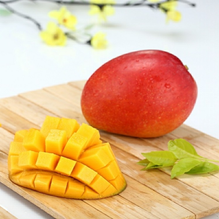 【果味仙】愛文芒果5斤(3 KG/公斤)禮盒(10~12粒/盒)