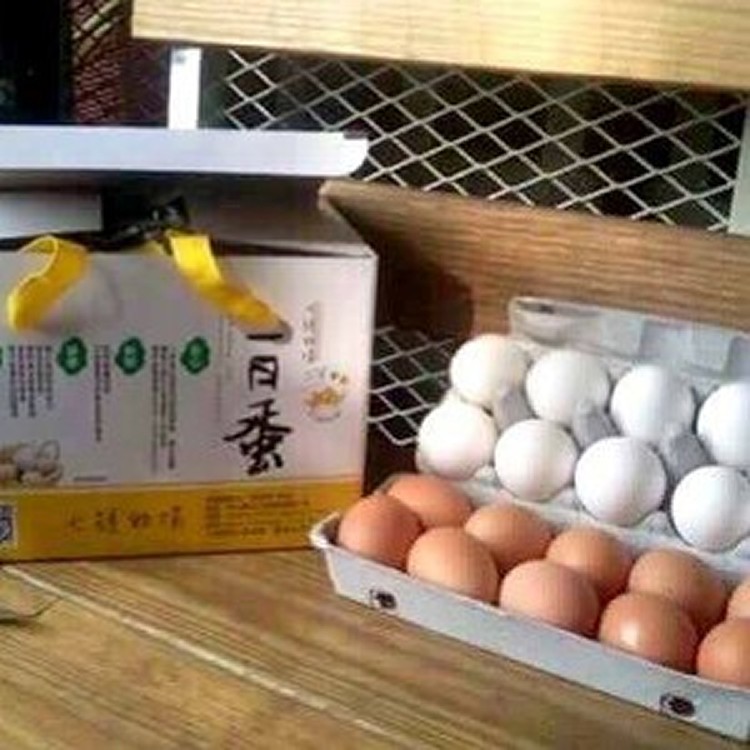 七號牧場：一日蛋