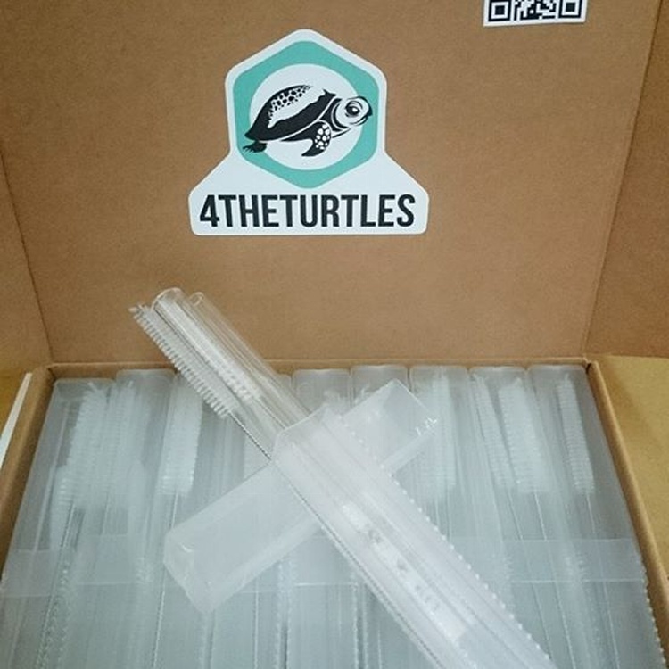 4theturtles 為了海龜 玻璃吸管組
