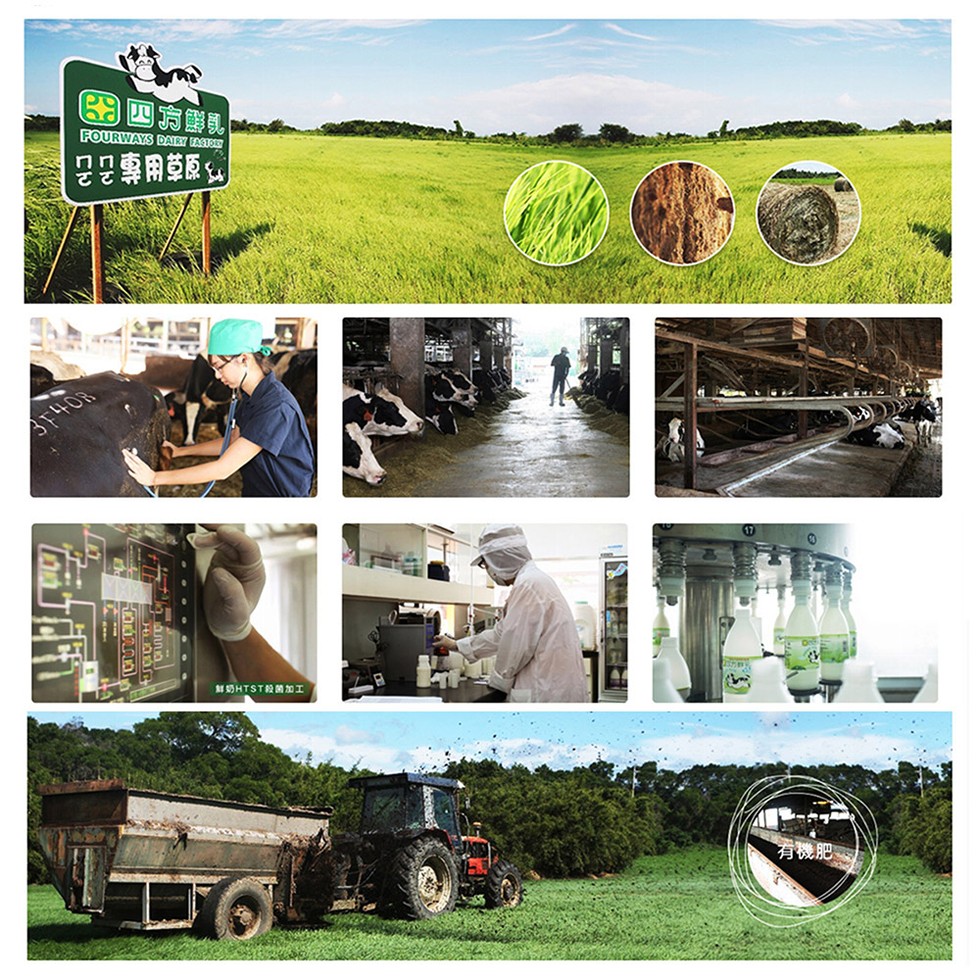 B3四方鮮乳，是專用草原，鮮奶HTST般菌加工，有機肥。