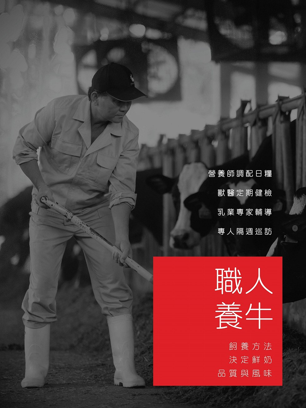 營養師調配日糧，獸醫定期健檢，乳業專家輔導，專人隔週巡訪，飼養方法，決定鮮奶，品質與風味。