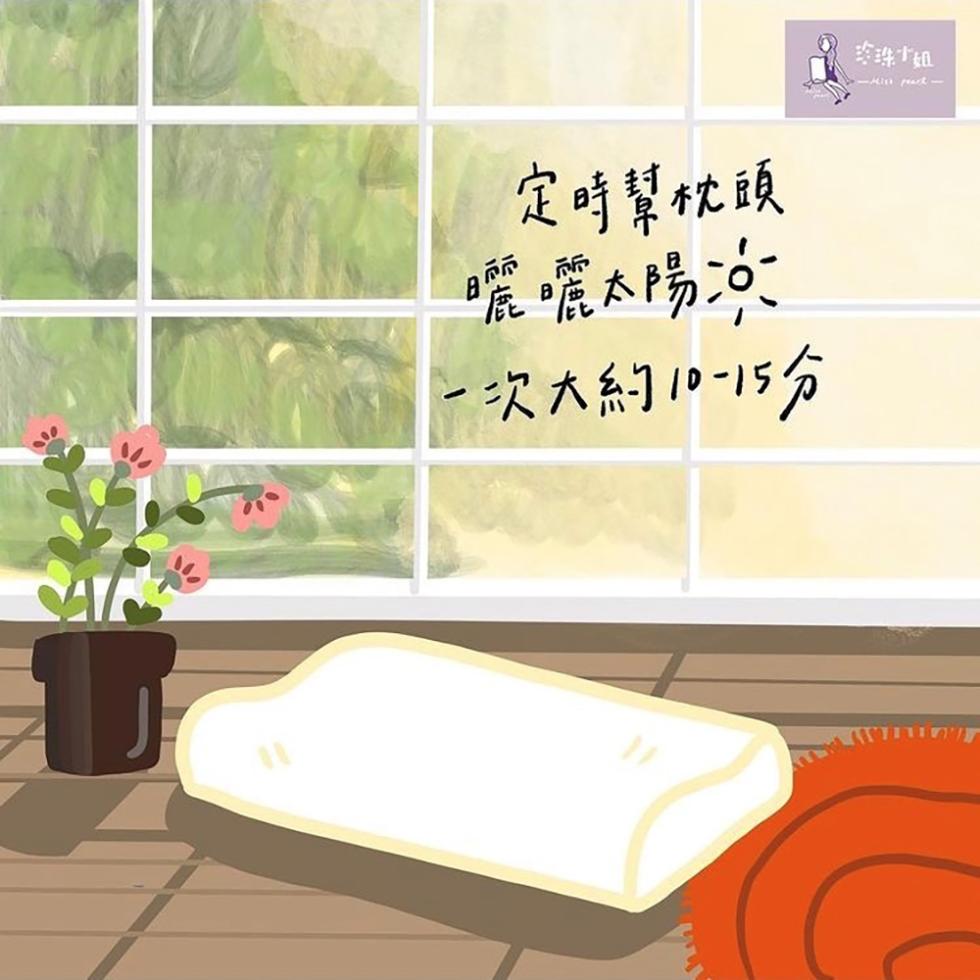 定時幫枕頭，曬曬太陽，一次大約10-15分，珍珠姐。