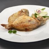 【將軍鮮食】肉魚