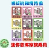 【預購】A 優惠組合 (1個月份30顆，綜合) 小巧版一級茶 (約4克/顆) 如單項缺貨，則以其他口味代替，介意請勿訂購 特價：$300