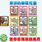 【試喝】迷你普洱10種口味大集合 (上品咖啡+一級普洱共10顆) 詳附圖商品介紹