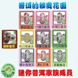 【試喝】迷你普洱10種口味大集合 特價：$130