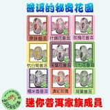 【預購】A 優惠組合 (1個月份30顆，綜合) 特價：$300