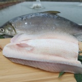 無刺虱目魚肚/片-(每片170g) 特價：$105